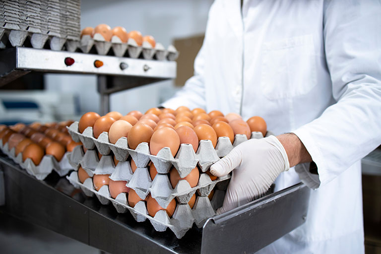 鶏卵のパレタイジングの自動化で、人材確保と安定生産が実現